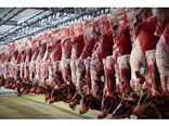 258 تن گوشت قرمز در بابل تولید شد/ ارزش اقتصادی 619 میلیاردی