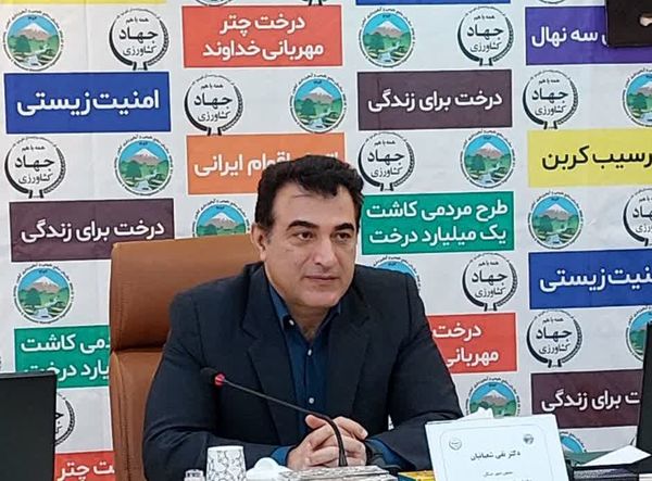 سرمایهگذاری در حوزه آب با گسترش کمی و کیفی عرصههای جنگلی