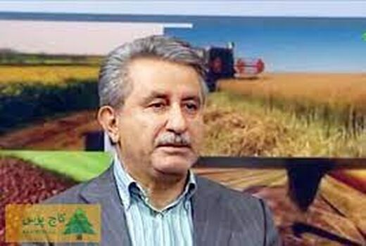 75 درصد تولیدات بخش کشاورزی در حوزه زراعت است 