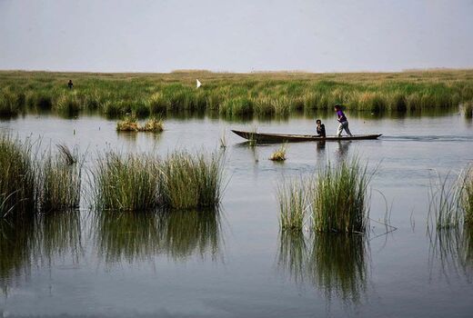 تالاب‌ها سهمی ۲۰ درصدی در معیشت جوامع محلی و پروتئین حیوانی کشور دارند