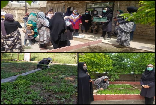 ۱۴ سایت باغچه‌های سلامت خانگی در قزوین ایجاد شد