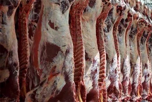 تولید بیش از 3 هزار تن گوشت قرمز