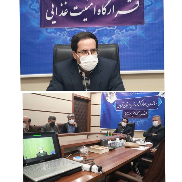 بازارچه عرضه مستقیم مواد پروتینی درقزوین راه اندازی می شود