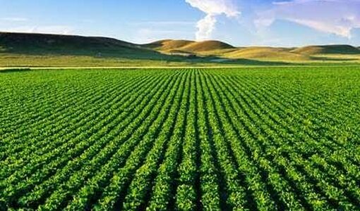 صدرنشینی جهاد کشاورزی کهگیلویه و بویراحمد در آمارگیری هزینه تولید محصولات زراعی کشور + سند