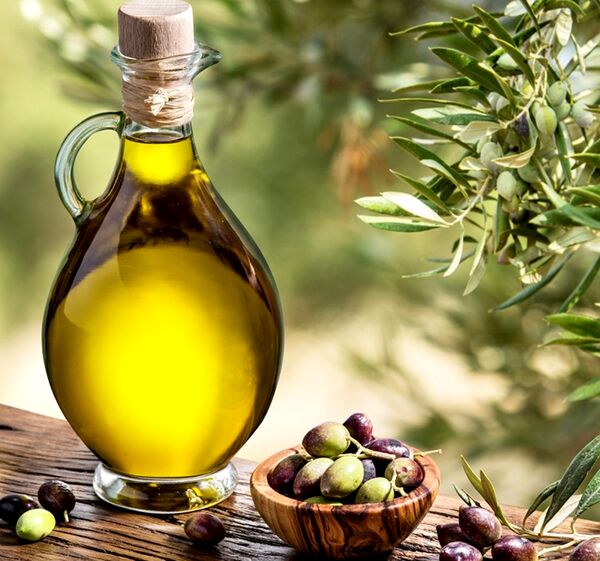 همت کشاورزان وصنایع مرتبط در جهش تولید روغن زیتون