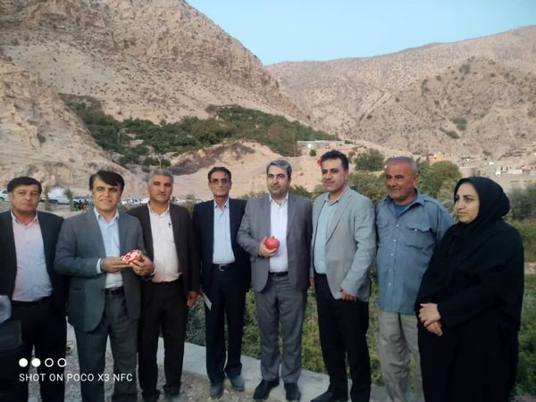 انار کهگیلویه و بویراحمد، از مارین تا جهان
