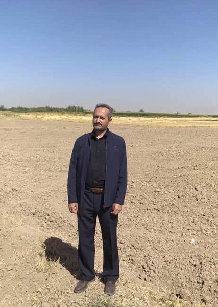 کشت بیش از ۶۵ درصد کلزای استان در شهرستان تبریز