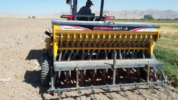 کشاورزان شهرستان آوج در سایت الگویی ترویجی کلزا با چگونگی افزایش عملکرد محصول آشنا شدند 