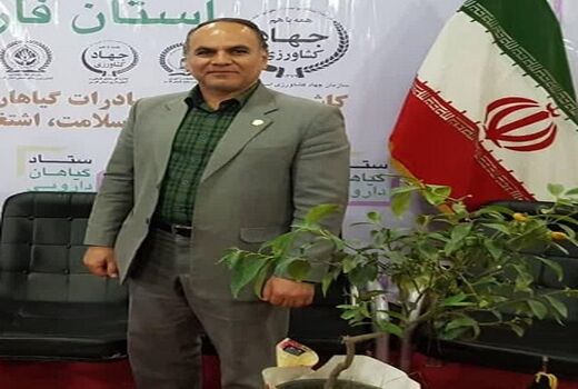 تولید 3600 کیلوگرم زعفران در استان فارس