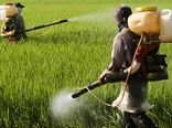 سطح مبارزه بیولوژیک ۱۹ درصد رشد کرد/ دیپلماسی غذایی و امنیت صادرات ایران