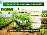 تولید ۶۱۰ هزار گیاهچه کشت بافتی در ۳ واحد تخصصی؛ گام فناورانه باغبانی استان آذربایجان شرقی