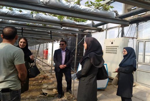 طرح کنترل بیولوژیک در مزارع، باغات و گلخانه های استان البرز اجرا شد 