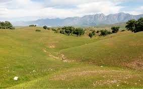 بیش از یک هزار هکتار از زمینهای ملی کاشان صاحب سند شد