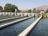 رشد چشمگیر تولید ماهی در استان قزوین