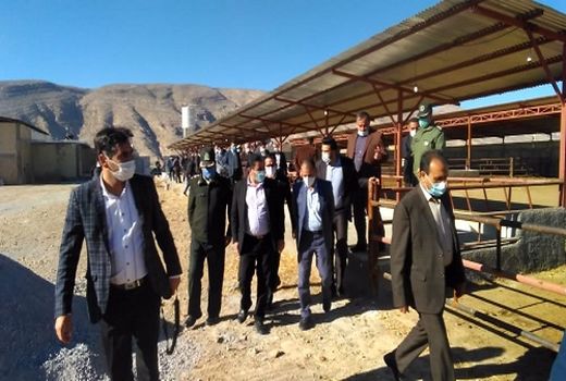 افتتاح گاوداری 30 رأسی در ارسنجان