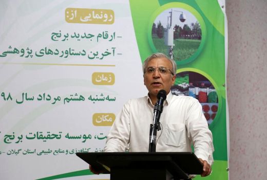 ارتقای تولید و پایداری برنج با زنجیره تولید امکان پذیر است