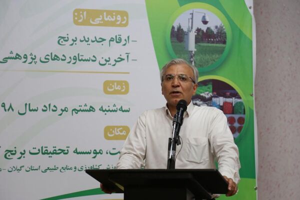 ارتقای تولید و پایداری برنج با زنجیره تولید امکان پذیر است