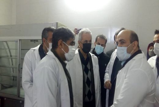 روزانه بالغ بر 50 تن گوشت مرغ در سنندج توزیع می شود