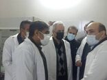 روزانه بالغ بر 50 تن گوشت مرغ در سنندج توزیع می شود