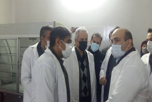 روزانه بالغ بر 50 تن گوشت مرغ در سنندج توزیع می شود