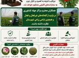پیشگیری از کشت گیاهان مخدر