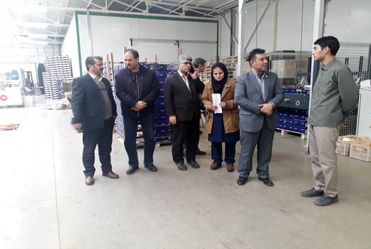 دستور العمل اعطای نشان استاندارد در حال تدوین است