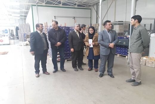 دستور العمل اعطای نشان استاندارد در حال تدوین است