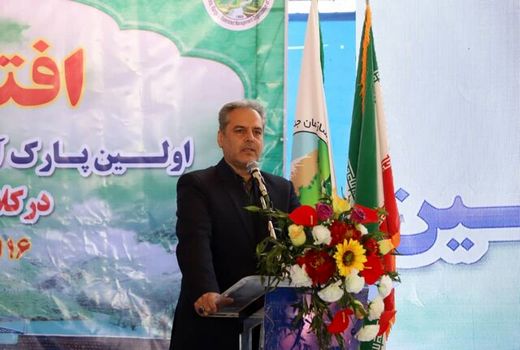 توسعه درختکاری در 330 هزار هکتار از عرصه های کشور در سال99