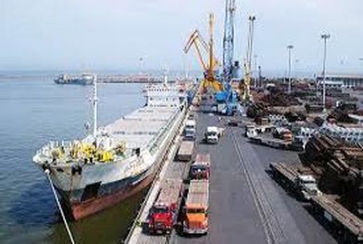 صدور مجوز ترخیص 24 هزارتن محموله گیاهی وارداتی