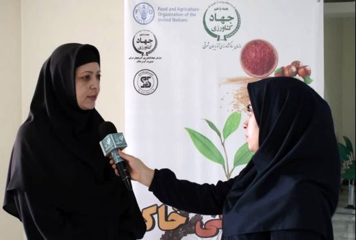 مصرف بی رویه سموم با افزایش میزان کلوئیدهای خاک ، بر عملکرد محصول تاثیر منفی می گذارد