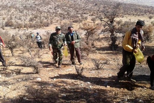 817 هکتار از اراضی ملی از دست سود جویان با همکاری دستگاه قضایی به منابع طبیعی بازگردانده شد