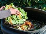 تبعات سنگین ضایعات غذایی برای دنیا