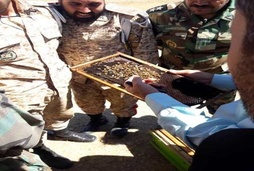 مهارت‌آموزی  بیش از ۴۰ هزار  نفر از کارکنان وظیفه نیروهای مسلح در حوزه کشاورزی 