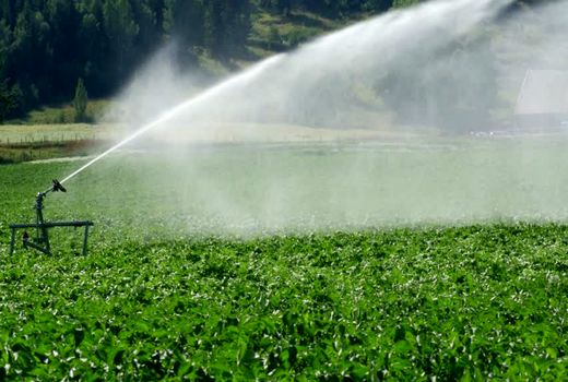 اختصاص 100 میلیون یورو از صندوق توسعه ملی به توسعه سامانه‌های نوین آبیاری در سال 99/سرمایه‌گذاری 12 میلیارد دلاری در زمینه طرح‌های آبیاری طی 7 سال