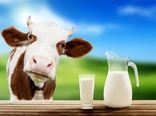 93 هزار تن شیر و گوشت قرمز در آمل تولید شد