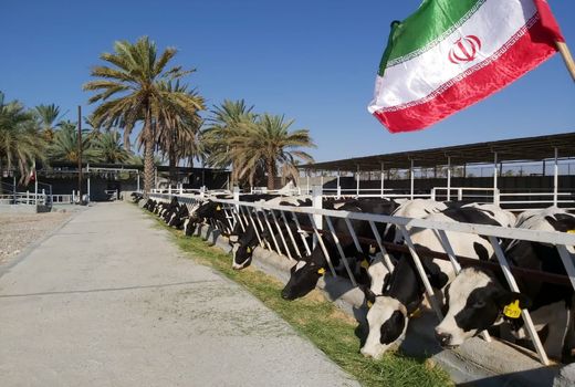 یک واحد دامداری صنعتی در فسا به بهره‌برداری رسید 