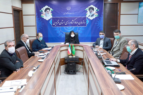 طرح کشت زراعت چوب در استان قزوین اجرا می شود