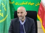 توسعه صادرات عسل با دریافت سیب سلامت