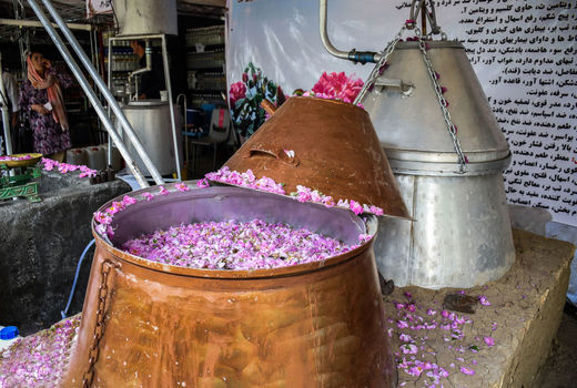 آیین گلاب‌گیری کاشان در برج میلاد