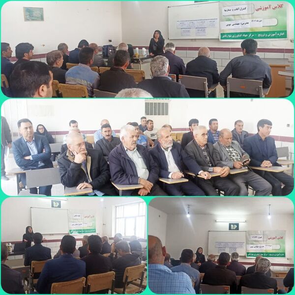 پیش آگاهی بهره‌برداران دزفولی از مرحله داشت گندم