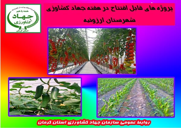 بهرع‌برداری از 15 طرح کشاورزی و آب وخاک در شهرستان ارزوئیه در هفته جهاد کشاورزی