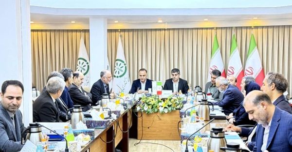 تامین 96 درصد از نهادههای کشاورزی در سال 1403 توسط شرکت خدمات حمایتی کشاورزی