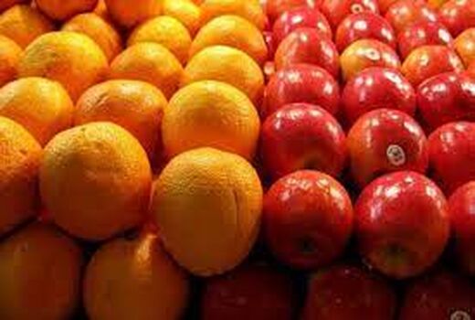 ۱۱۰۰ تن سیب و پرتقال میوه شب عید آذربایجان غربی ذخیره سازی شد