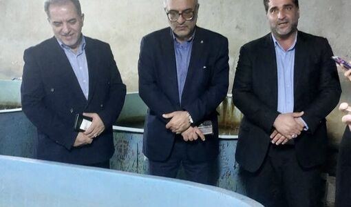 انقلاب در تکثیر ماهیان خاویاری؛ از تکنولوژی «میکرو سزارین» تا بازگشت فیل‌ماهی‌ها به دل دریا
