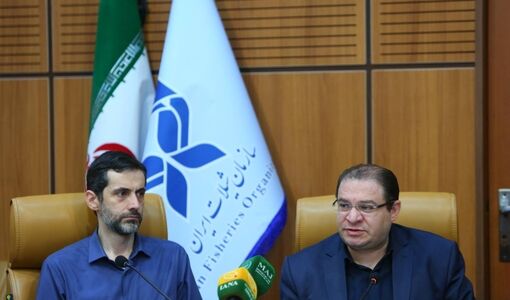 گذار از حکمرانی عمودی به افقی / دولت شبکه‌ «از مرز تا مرکز» را عملیاتی می‌کند