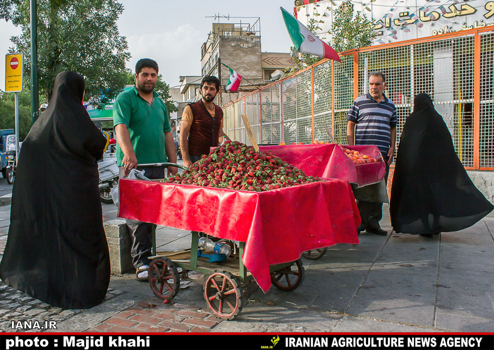 نوبرانه‌های رنگی