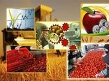 صنایع تبدیلی کشاورزی محور اصلی افزایش ارزش افزوده، کاهش خام‌فروشی و تضمین امنیت غذایی 