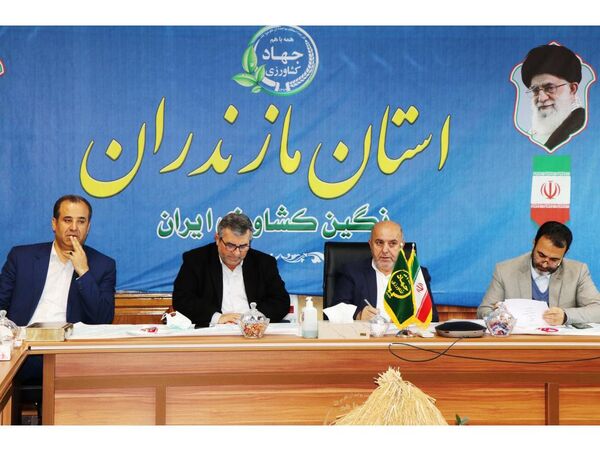 خرید 400 تن برنج پرمحصول از کشاورزان مازندرانی/ ارزان سازی غذا در دولت سیزدهم