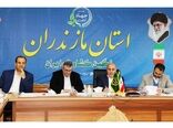 خرید 400 تن برنج پرمحصول از کشاورزان مازندرانی/ ارزان سازی غذا در دولت سیزدهم