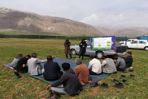برگزاری کانون یادگیری گندم آبی در شهرستان کیار 